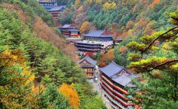 Kết quả hình ảnh cho Chungcheong