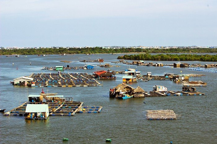 Một ngày du ngoạn xã đảo Long Sơn (Vũng Tàu) - ảnh 1