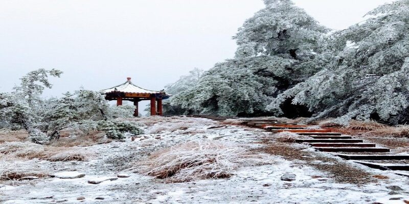 Đài Loan mùa đông