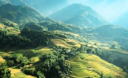 Khung thiên nhiên tuyệt mỹ tại Sapa