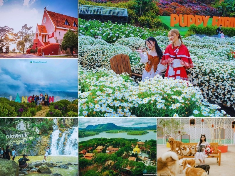 Lên ngay kế hoạch cho tour Đà Lạt lễ 2/9 Lên ngay kế hoạch cho tour Đà Lạt lễ 2/9