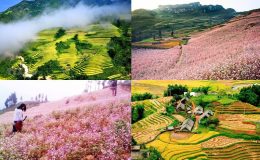 Sapa được ôm trọn bởi mùa thu