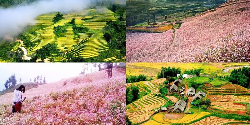 Sapa được ôm trọn bởi mùa thu