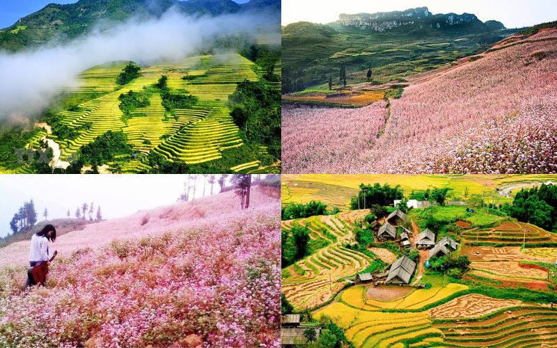 Sapa được ôm trọn bởi mùa thu Sapa được ôm trọn bởi mùa thu