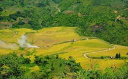 Bản Liền Lào Cai sở hữu thiên nhiên hùng vĩ, trù phú