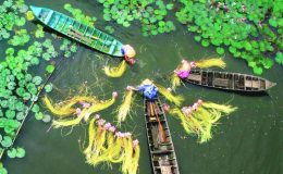 Không gian xanh mát miền Tây