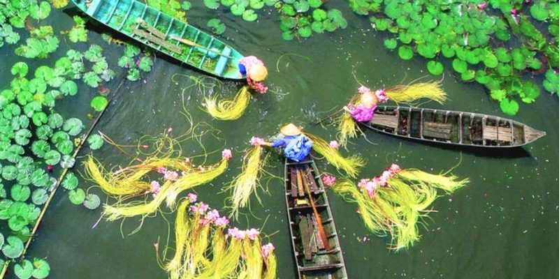 Không gian xanh mát miền Tây