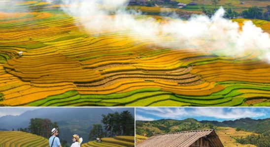 Mù Cang Chải mùa vàng - “nàng công chúa” của Tây Bắc