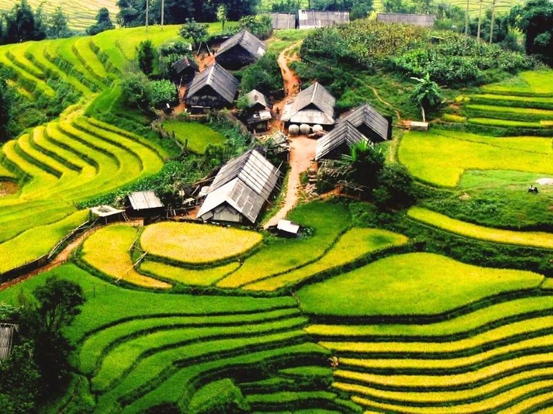 Bản Ý Linh Hồ - Bản làng xinh đẹp của Sapa 