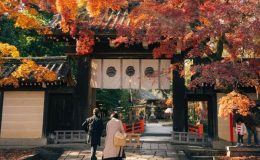 Thời tiết Nhật Bản tháng 11 rất thuận lợi cho khách tham quan