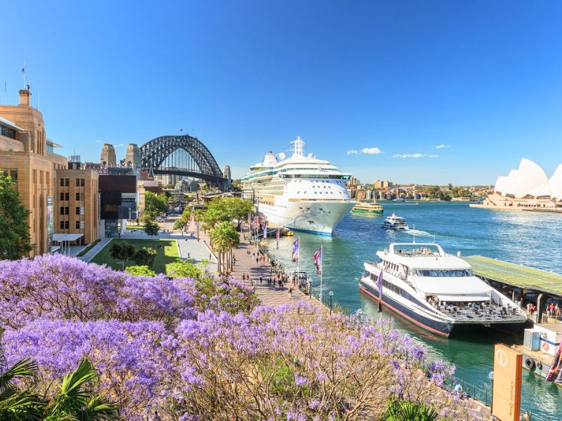 Khung cảnh xinh đẹp của Úc vào tháng 11 Khung cảnh xinh đẹp của Úc vào tháng 11