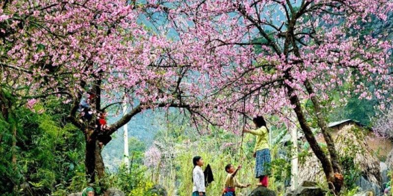 Khám phá Mộc Châu trong dáng hình tinh khôi của mùa xuân