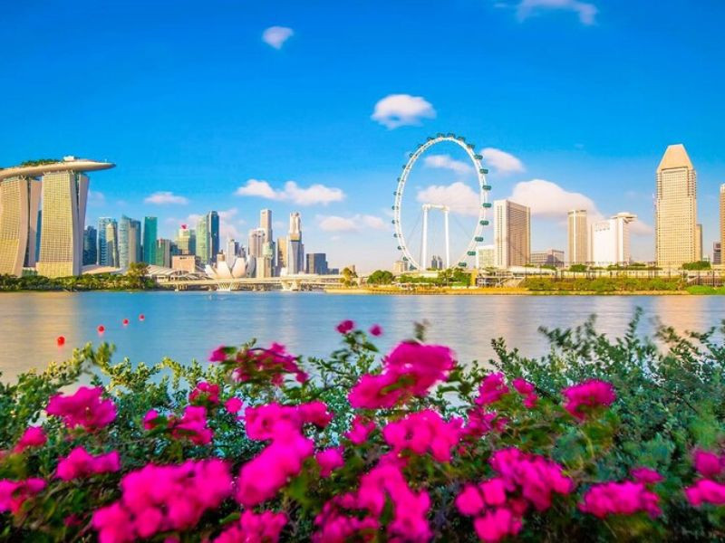 Singapore vào mùa hè luôn rực rỡ và sôi động