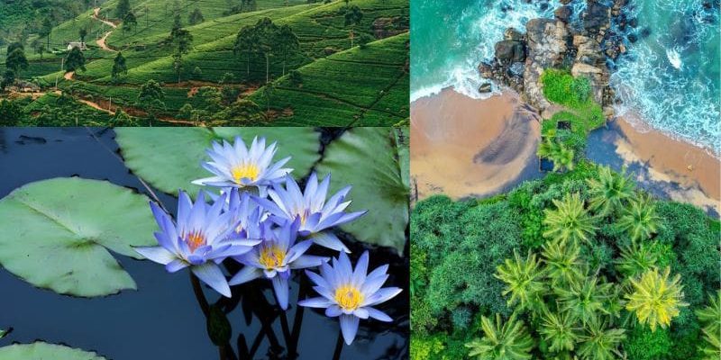 Sri Lanka là điểm đến nổi bật của du lịch châu Á