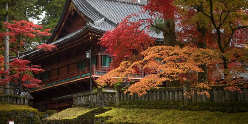 Mùa lá đỏ tuyệt vời tại Nikko