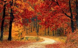 Mùa thu thời điểm lý tưởng để xuống phố