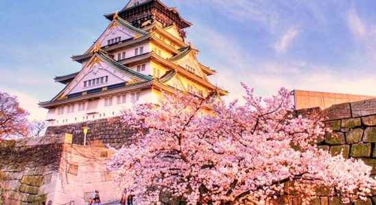 Thời điểm lý tưởng du lịch mùa sakura ở Osaka