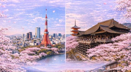 Hoa anh đào bắt đầu nở vào mùa xuân, tạo nên khung cảnh lãng mạn đặc trưng của Nhật Bản