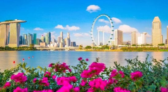 Singapore vào mùa hè luôn rực rỡ và sôi động