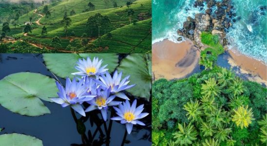 Sri Lanka là điểm đến nổi bật của du lịch châu Á