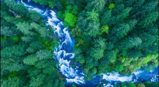 Toàn cảnh Hồ Kaindy với khu rừng chìm giữa dãy Tian Shan
