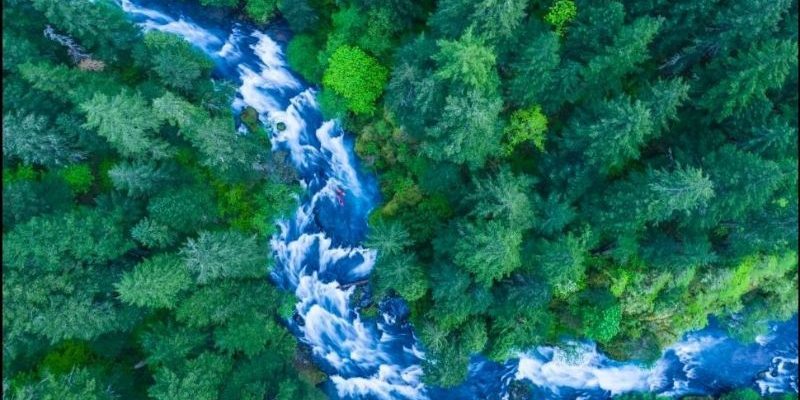 Toàn cảnh Hồ Kaindy với khu rừng chìm giữa dãy Tian Shan